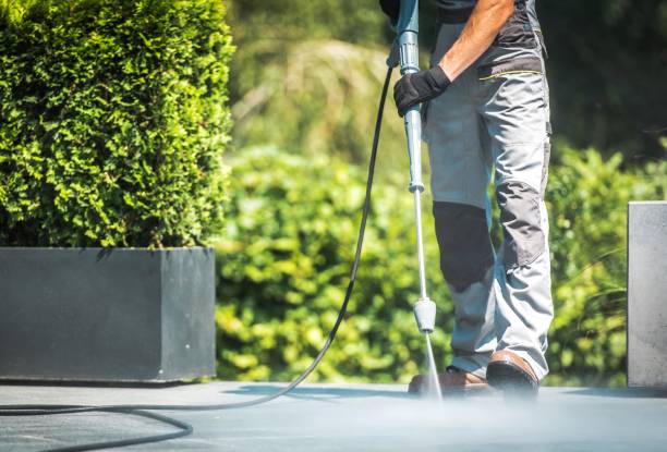 Best Solar Panel Cleaning  in Mariposa, CA